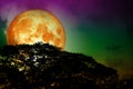 super full blood moon back silhouette trees and colorful sky Royalty Free Stock Photo