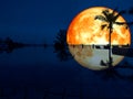 super full blood moon reflection coconut swimming pool