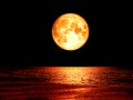 super full blood moon on the sea and night sky backgroud Royalty Free Stock Photo