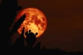 super full dark blood moon back silhouette cactus in desert land