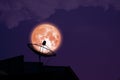super full harvest blood moon on night sky back satellite dish on the roof Royalty Free Stock Photo