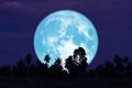 super full harvest moon on night sky back trees in the field Royalty Free Stock Photo