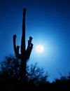 Super Full Moon With Saguaro Cactus