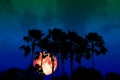 super full red moon back silhouette high palms in dark night sky