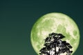 super full snow green moon on night sky back silhouette tree and cloud Royalty Free Stock Photo