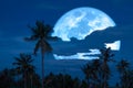 Super harvest blue moon and silhouette coconuts trees in the night sky
