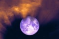 super harvest purple moon back on silhouette cloud ray on sunset sky