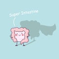 Super health intestine