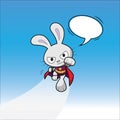 Super Hero Bunny