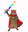 Cat super hero with a sword 2