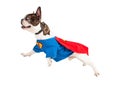 Super Hero Dog Flying Over White Royalty Free Stock Photo