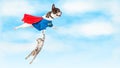 Super Hero Dog Flying Over White Royalty Free Stock Photo