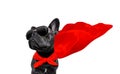 Super hero dog Royalty Free Stock Photo