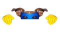 Super hero dog Royalty Free Stock Photo