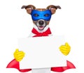 Super hero dog Royalty Free Stock Photo