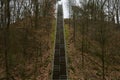 Super high stairway to heaven. Trought trees woods and leaves. Straight up one line outdoors staircase.