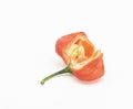 super hot Naga chili slice on white background.selective focus Royalty Free Stock Photo