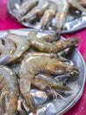 Super Jumbo Shrimp in ice on display at a fish market Royalty Free Stock Photo