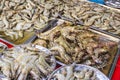 Super Jumbo Shrimp in ice on display at a fish market Royalty Free Stock Photo