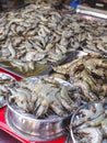 Super Jumbo Shrimp for sale at a fish market Royalty Free Stock Photo