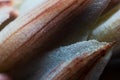 Super macro photograph of pink plant leaf