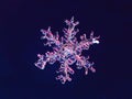 Snowflake natural crystal single isolated on dark blue background