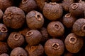 Super macro shot of  allspice  dry pepper in detail very close. food spice background. Royalty Free Stock Photo