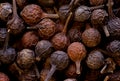 super macro shot of of dried exotic pepper from Java island and from Sumatra in detail very close. Ideal food spice background.