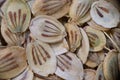 super macro shot of exotic dry hogweed seeds from Iran in details very close