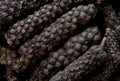super macro shot of exotic long chocolate pepper from Nepal in details very close. Ideal food and spice background.