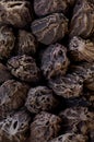 super macro shot of exotic spice black cardamon from India. in details very close.aromat part of masala