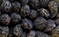 super macro shot of exotic spice black cardamon from India. in details very close.aromat part of masala Royalty Free Stock Photo