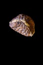 Indian  dried cardamom seeds shot very close up and seen in detail isolated on black Royalty Free Stock Photo