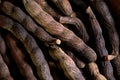 super macro shot of heap exotic spice selim pepper ,xylopia acthiopica, from Senegal in details very close