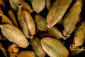 Super macro shot of  pods of  green cardamon from India  isolated on a black  food background very close in detail spice. Royalty Free Stock Photo