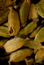 super macro shot of  pods of  green cardamon from India  isolated. Royalty Free Stock Photo