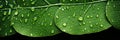 Super macro shot vivid green leaf with glistening raindrops natures artistry in detail