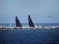 Ocean racing Yachts, 2022 Sydney to Hobart Race, Australia