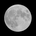 Super Moon also called SuperLuna Royalty Free Stock Photo