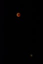 Super moon, blood moon, eclipse. Royalty Free Stock Photo