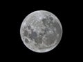 Super moon 2017 Royalty Free Stock Photo