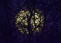 Super moon Royalty Free Stock Photo