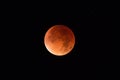 Super Moon Eclipse - Blood Moon Royalty Free Stock Photo