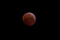 Super moon eclipse. Total lunar eclipse. 21-1-2019 Royalty Free Stock Photo