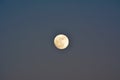 Super moon New Years Eve 2017 Royalty Free Stock Photo