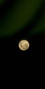 Super Moon Nov 2025 Royalty Free Stock Photo