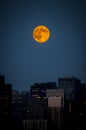 Super Moon Royalty Free Stock Photo