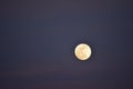 Super Moon at sunset prior to blood moon eclipse Royalty Free Stock Photo