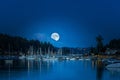 Super Moon Rising behind Mt.Rainier overlooking Gig Harbor Royalty Free Stock Photo