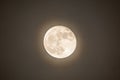 Super moon with yelllow glow Royalty Free Stock Photo